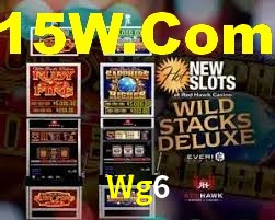Wg6